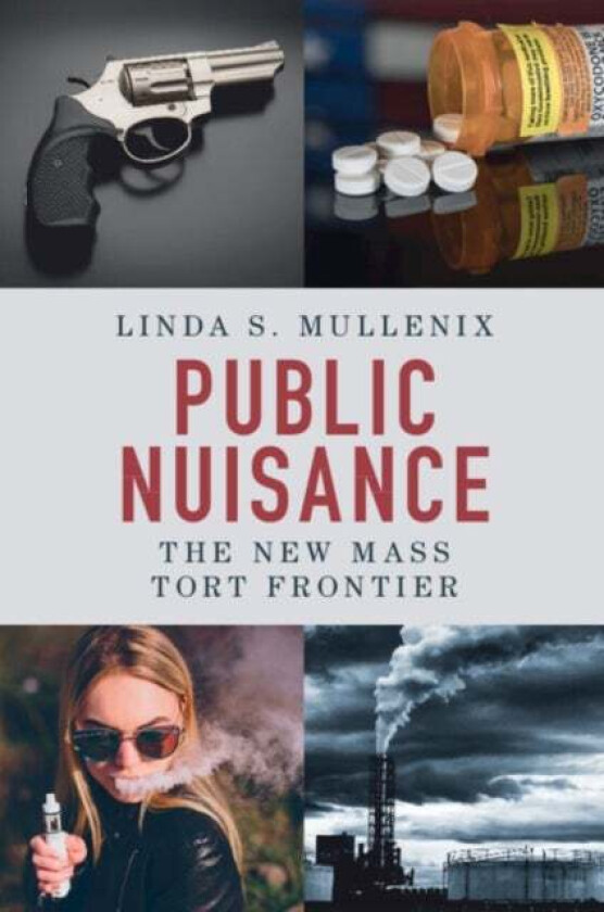 Public Nuisance av Linda S. (University of Texas Austin) Mullenix