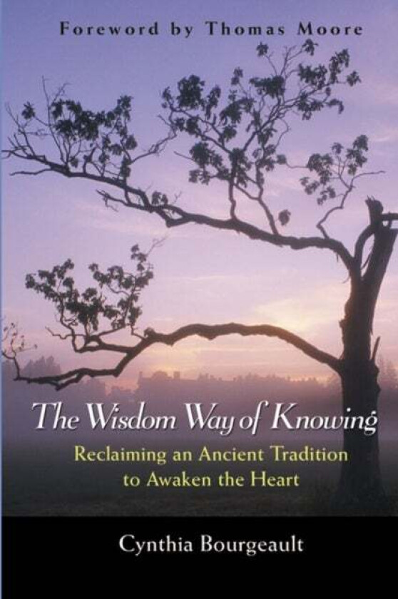 The Wisdom Way of Knowing av Cynthia (Victoria British Columbia) Bourgeault