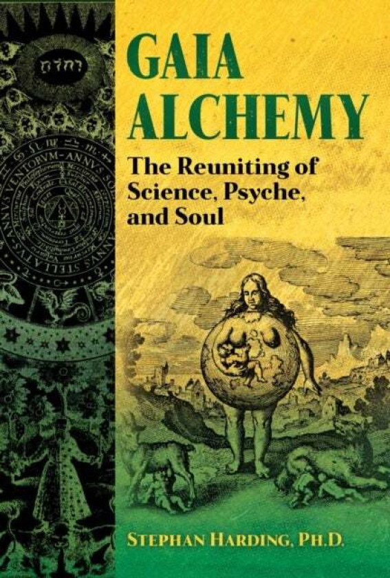 Gaia Alchemy av Stephan Harding