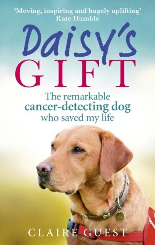 Daisy's Gift av Claire Guest