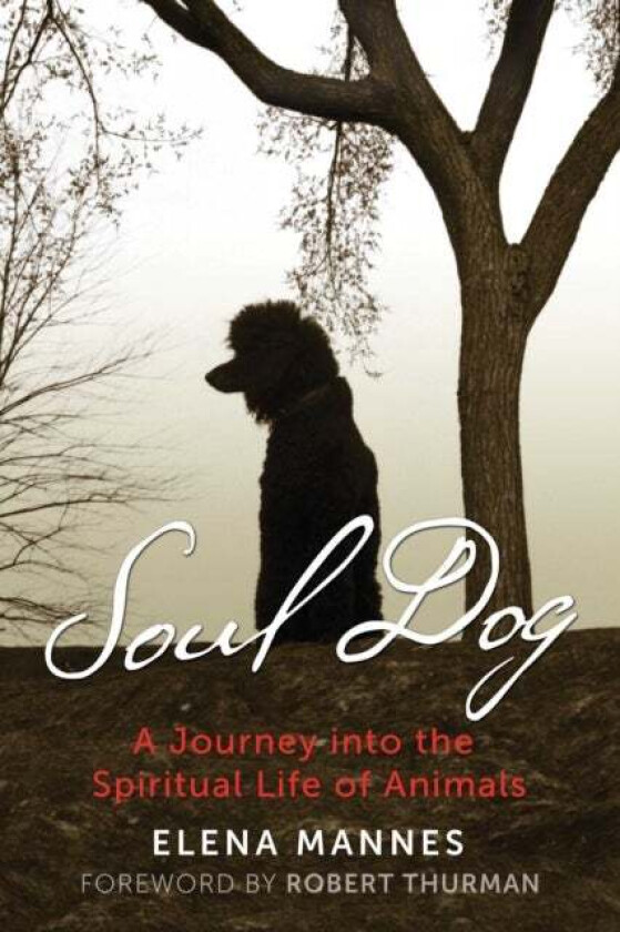 Soul Dog av Elena Mannes