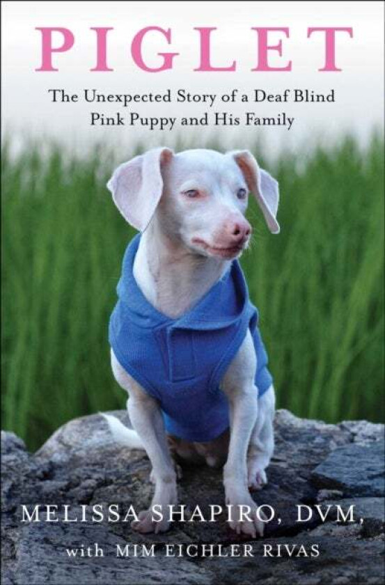 Piglet av Melissa DVM Shapiro, Mim Eichler Rivas
