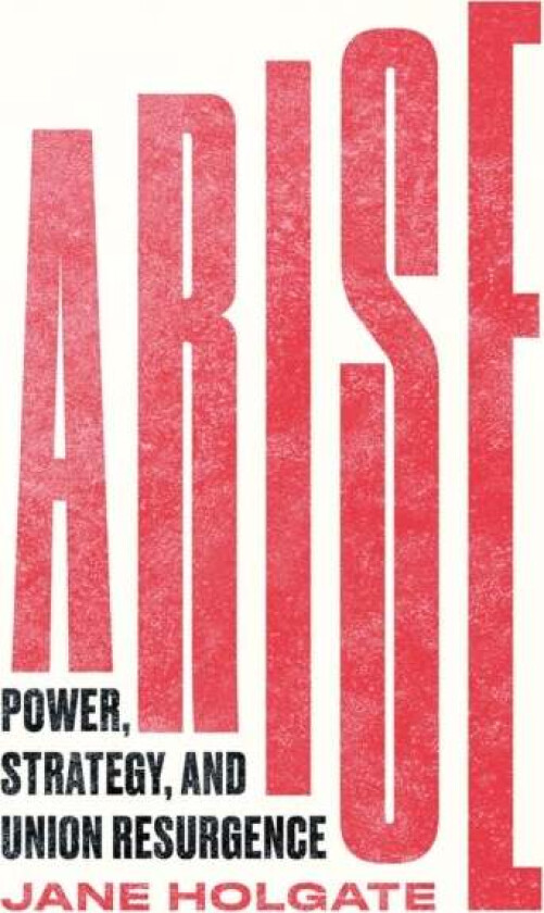 Arise av Jane Holgate