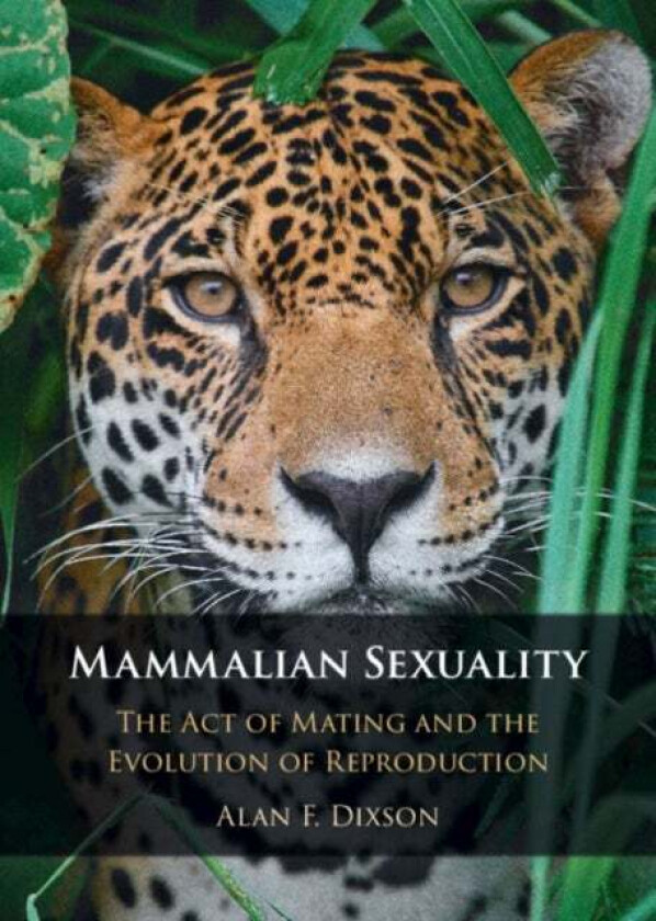 Mammalian Sexuality av Alan F. (Victoria University of Wellington Dixson