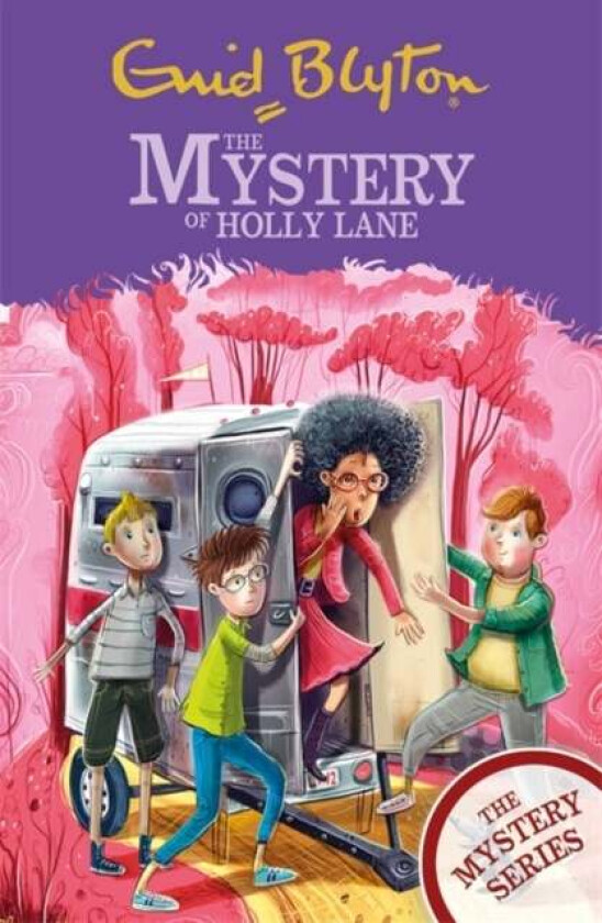 The Mystery Series: The Mystery of Holly Lane av Enid Blyton