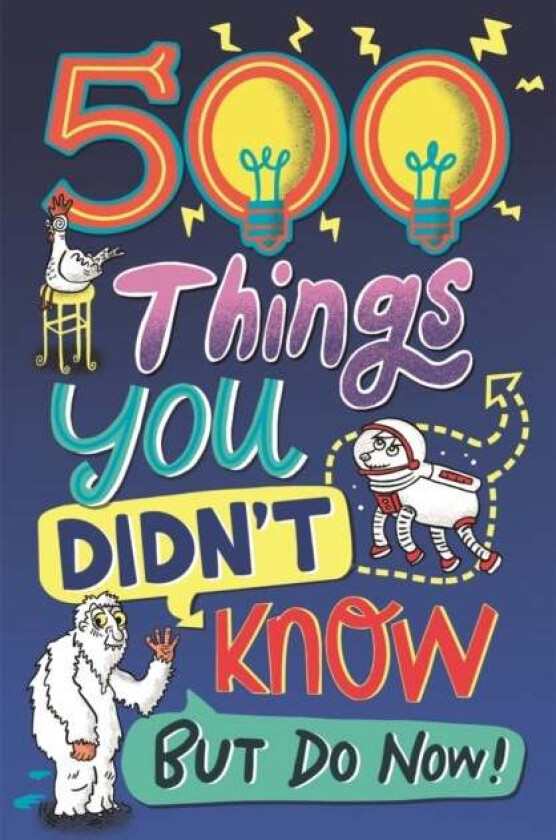 500 Things You Didn't Know av Samantha Barnes, Dominique Enright, G MacDonald