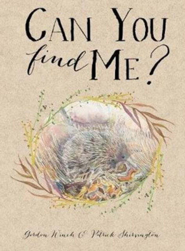 Can You Find Me? av Gordon Winch