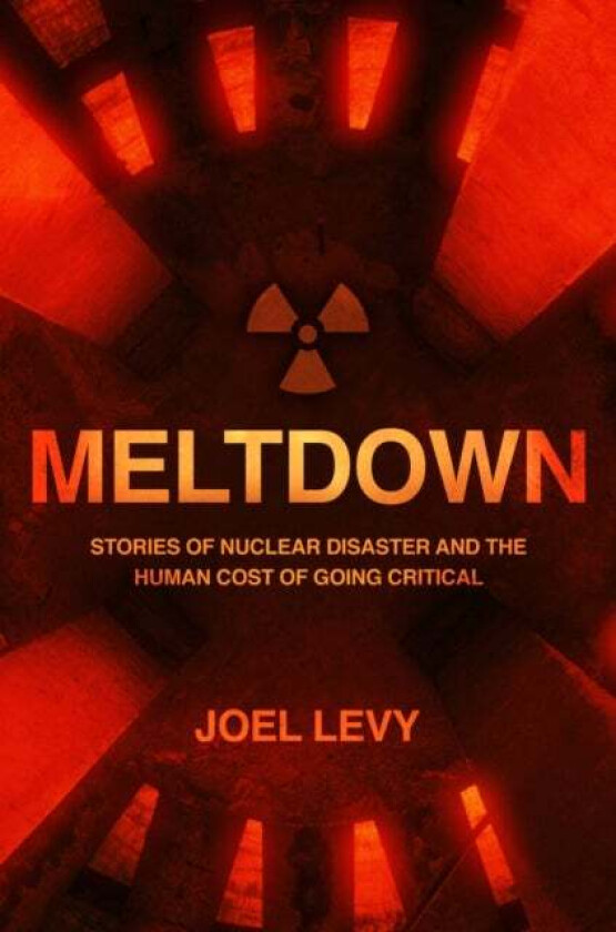 Meltdown av Joel Levy