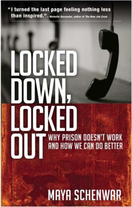 Locked Down, Locked Out: Why Prison Doesn't Work and How We Can Do Better av Maya Schenwar