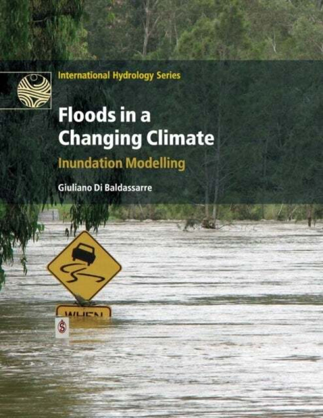 Floods in a Changing Climate av Giuliano Di Baldassarre