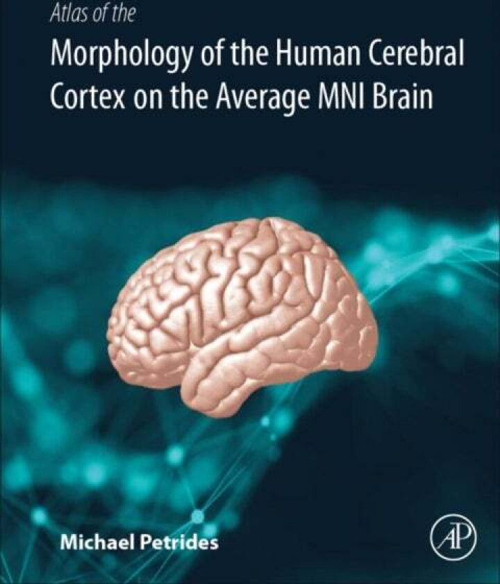 Atlas of the Morphology of the Human Cerebral Cortex on the Average MNI Brain av Michael (Montreal Neurological Institute Petrides