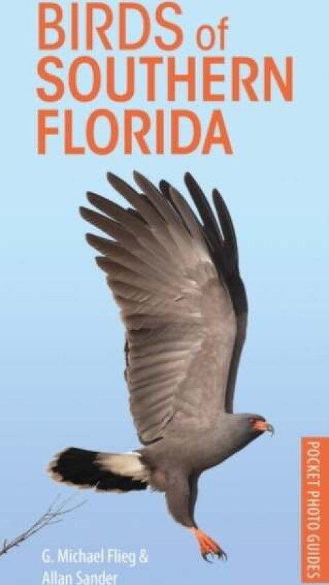Birds of Southern Florida av G. Michael Flieg