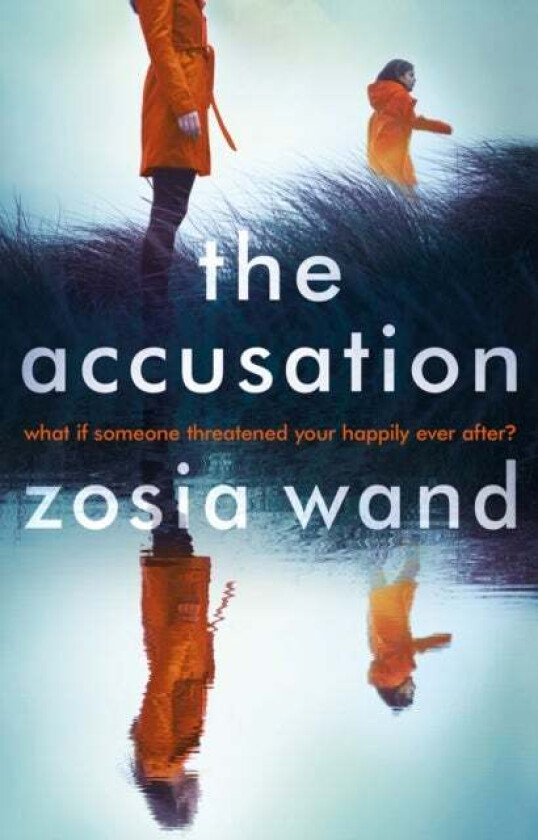The Accusation av Zosia Wand