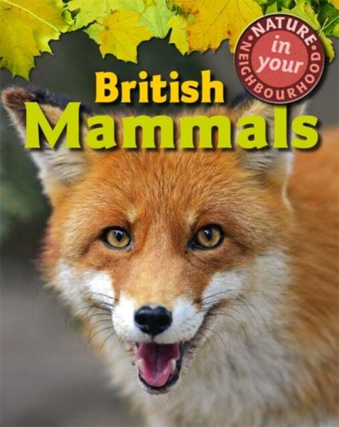 Nature in Your Neighbourhood: British Mammals av Clare Collinson