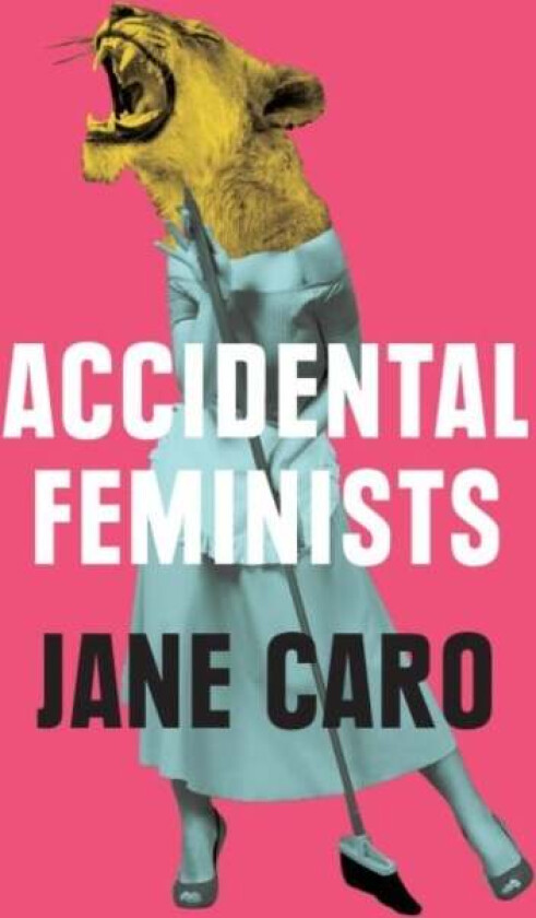 Accidental Feminists av Jane Caro