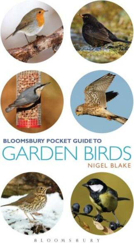 Pocket Guide To Garden Birds av Nigel Blake