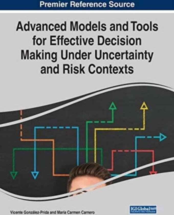 Advanced Models and Tools for Effective Decision Making Under Uncertainty and Risk Contexts