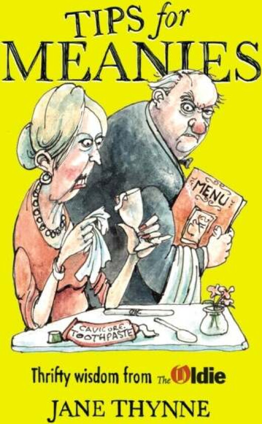 Tips for Meanies av Jane Thynne