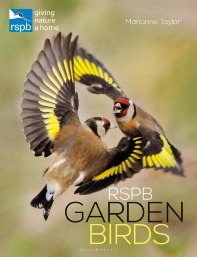 RSPB Garden Birds av Marianne Taylor
