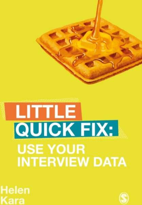 Use Your Interview Data av Helen Kara