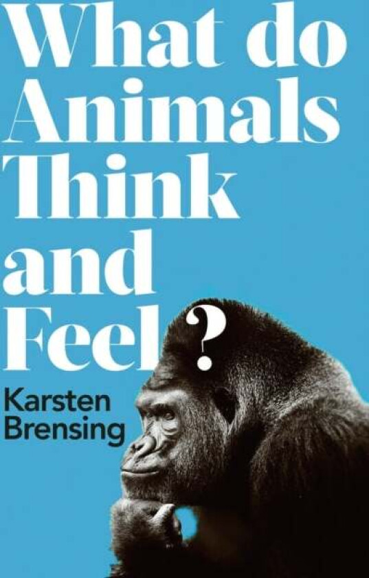 What Do Animals Think and Feel? av Karsten Brensing