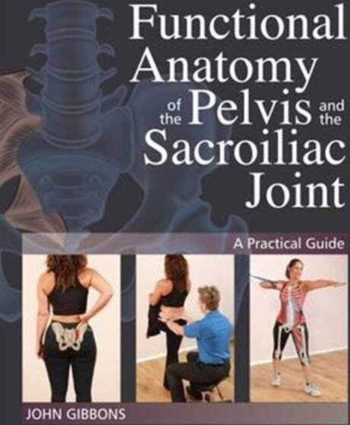 Functional Anatomy of the Pelvis and the Sacroiliac Joint av John Gibbons