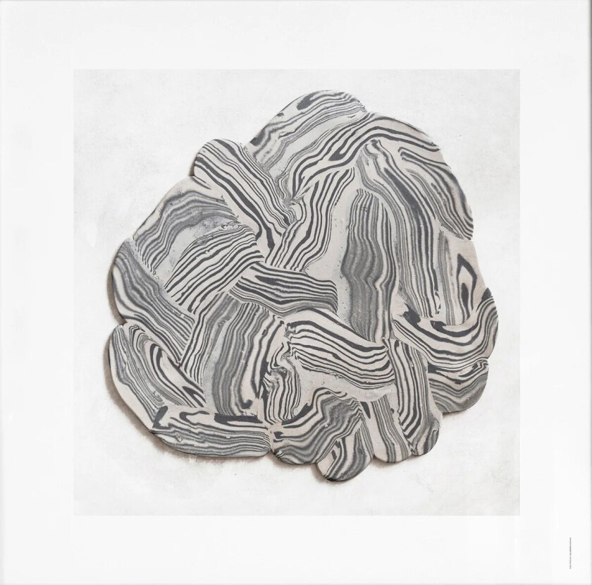 Hoshino plakat 50 x 50 cm