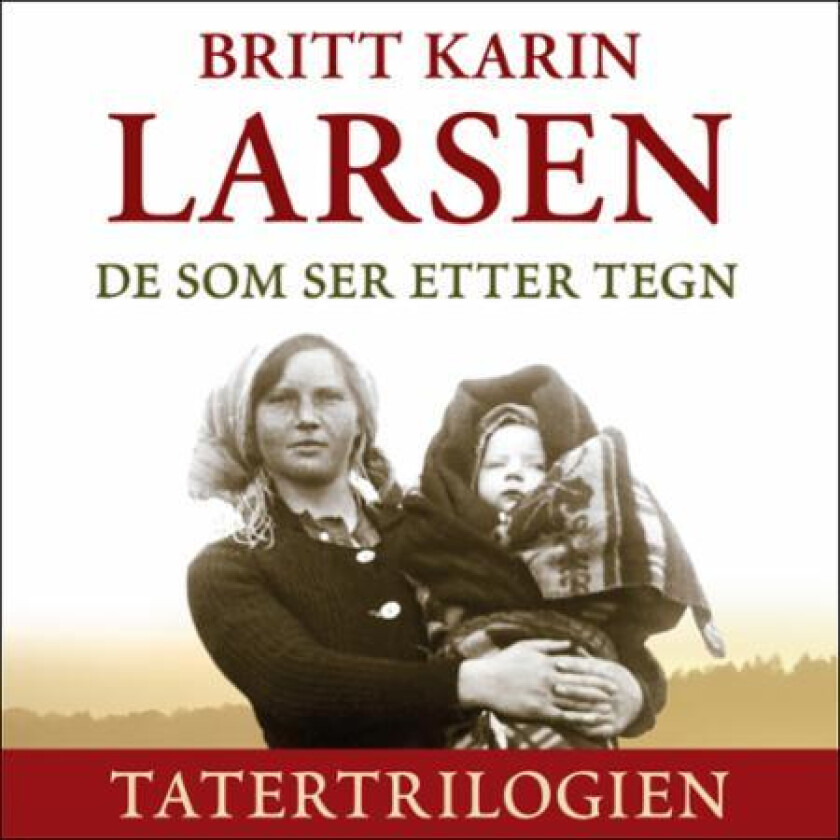 De som ser etter tegn av Britt Karin Larsen