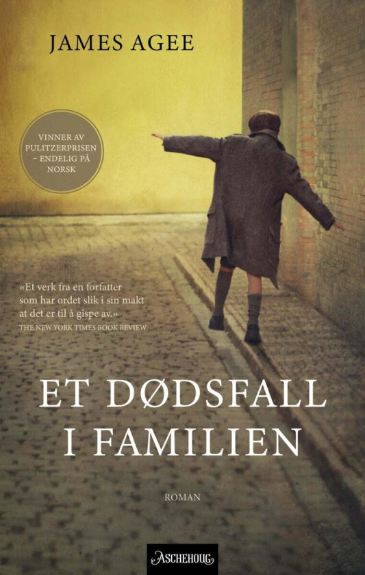 Et dødsfall i familien av James Agee