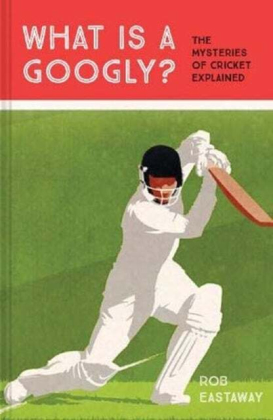 What is a Googly? av Rob Eastaway