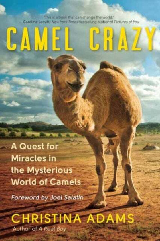 Camel Crazy av Christina Adam