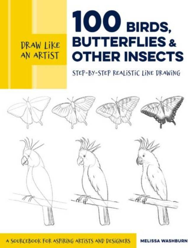 Draw Like an Artist: 100 Birds, Butterflies, and Other Insects av Melissa Washburn