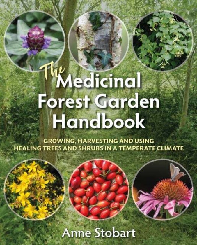 The Medicinal Forest Garden Handbook av Anne Stobart