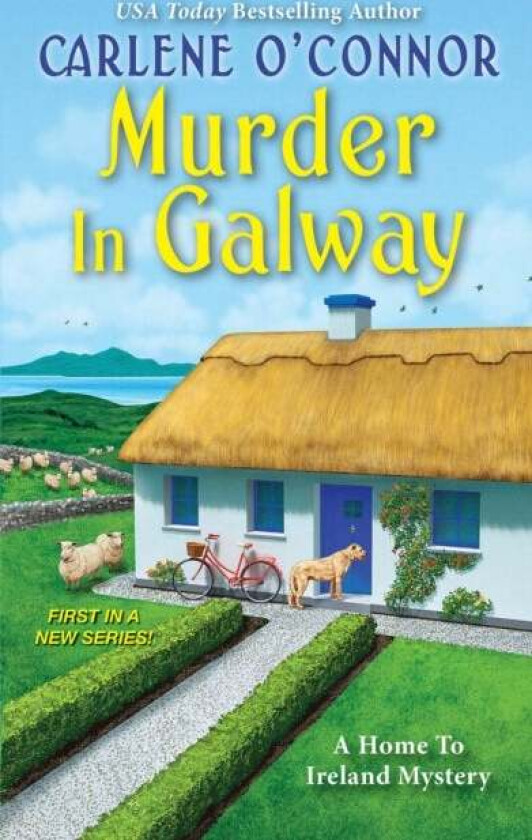 Murder in Galway av Carlene O'Connor