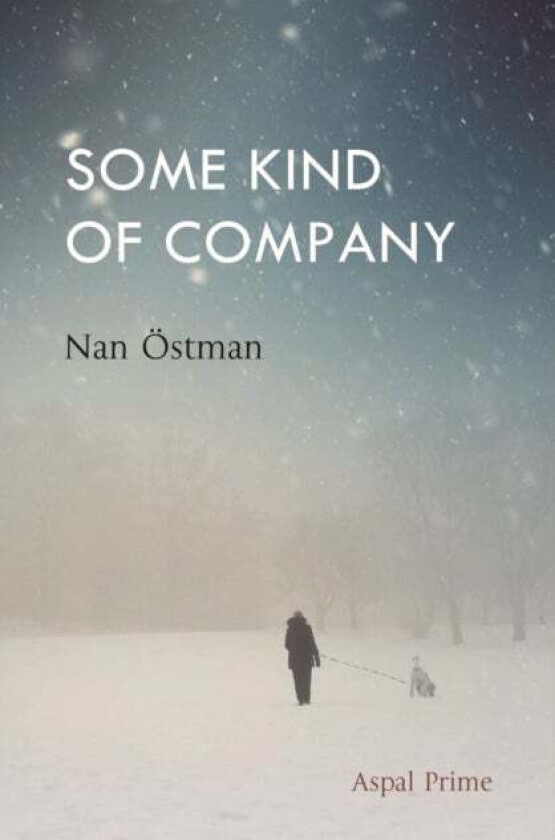 Some Kind of Company