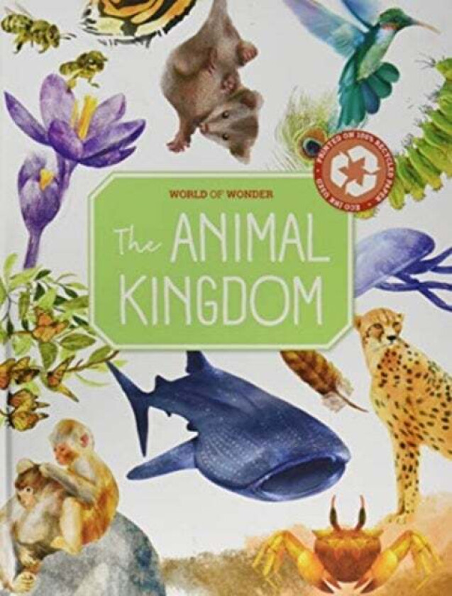 ANIMAL KINGDOM av Yoyo Books