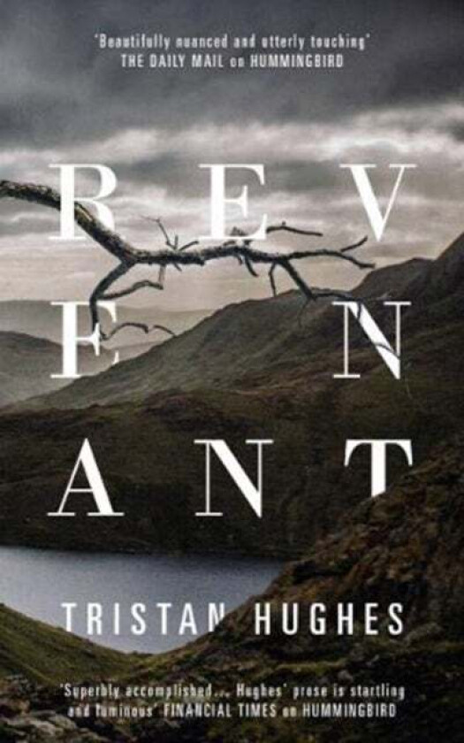Revenant av Tristan Hughes