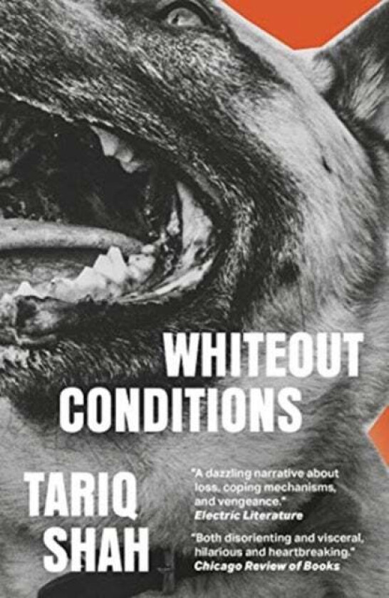 Whiteout Conditions av Tariq Shah