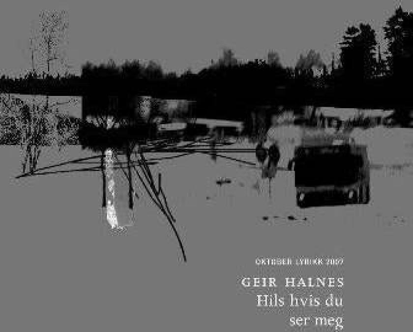 Hils hvis du ser meg av Geir Halnes