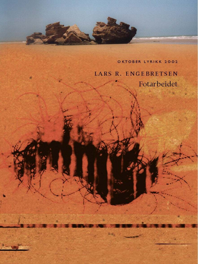 Fotarbeidet av Lars R. Engebretsen