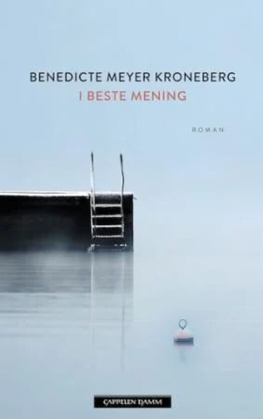 I beste mening av Benedicte Meyer Kroneberg