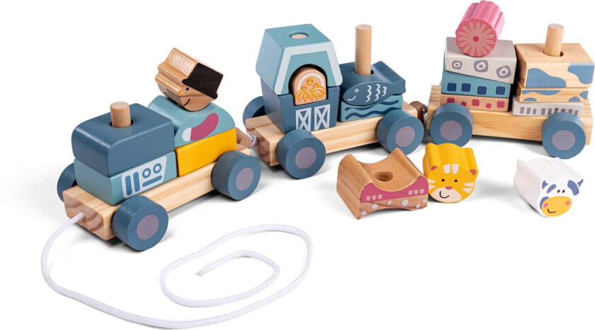 - Wooden Train (55559)