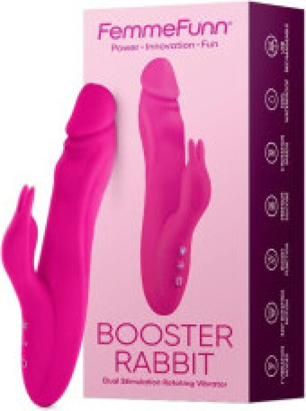 FemmeFunn Booster Rabbit Pink bunny vibrator