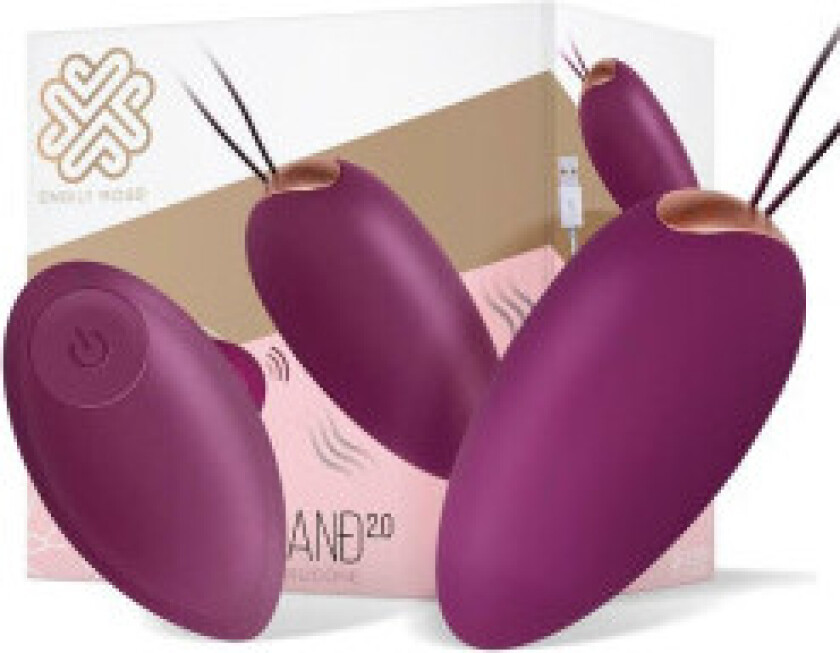 Ross Garland 2.0 egg-shaped vibrator Purple
