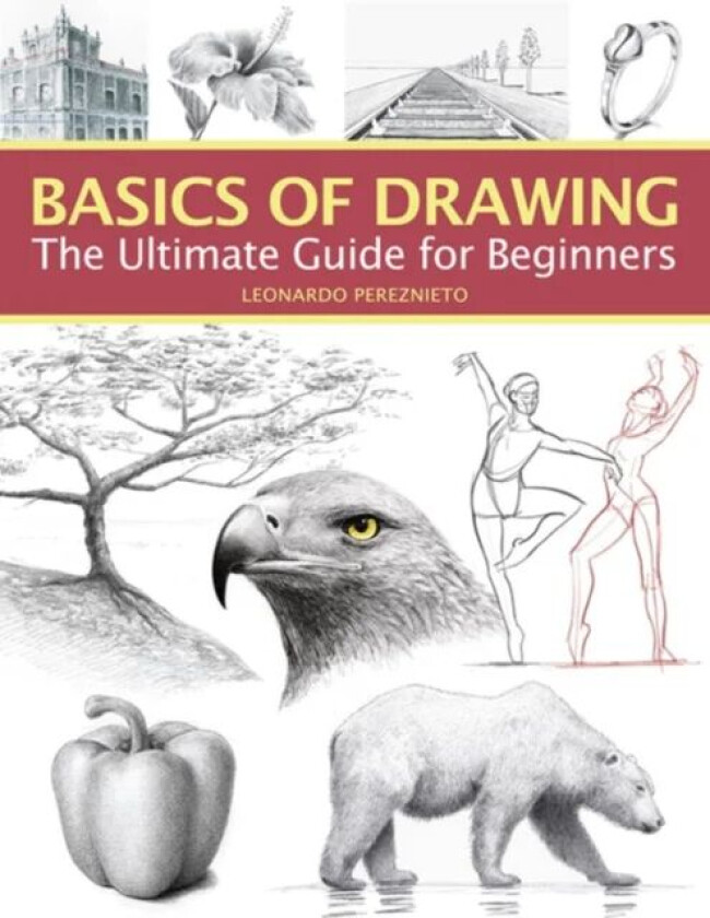 Basics of Drawing av Leonardo Pereznieto