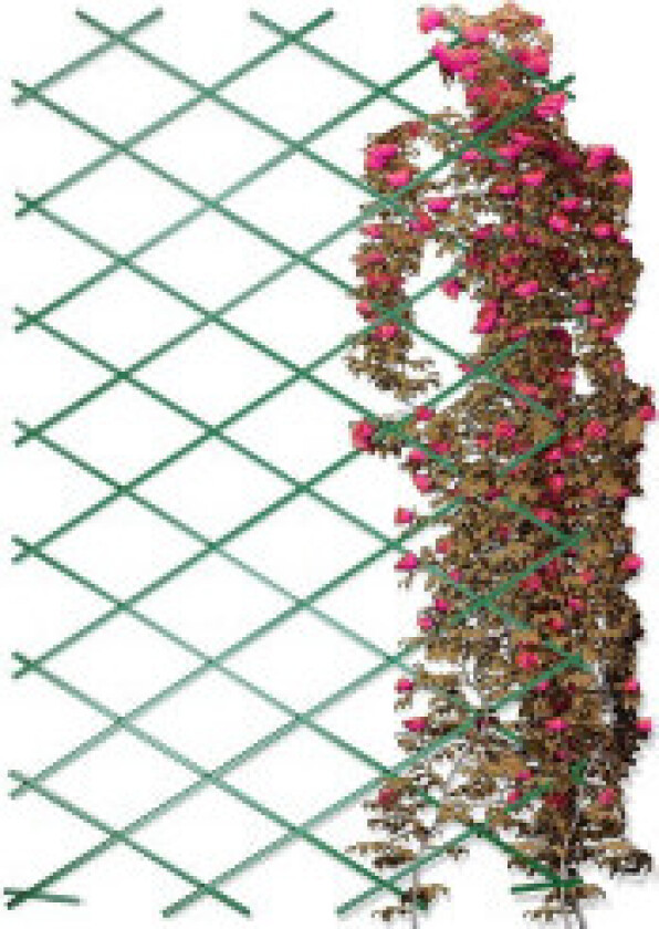 Sammenleggbar grønn plantestøtte 200x100 cm for hagen