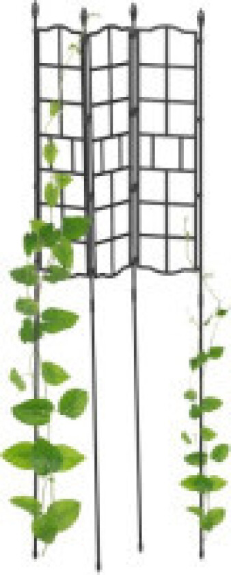 Trellis sett på 3 124 cm