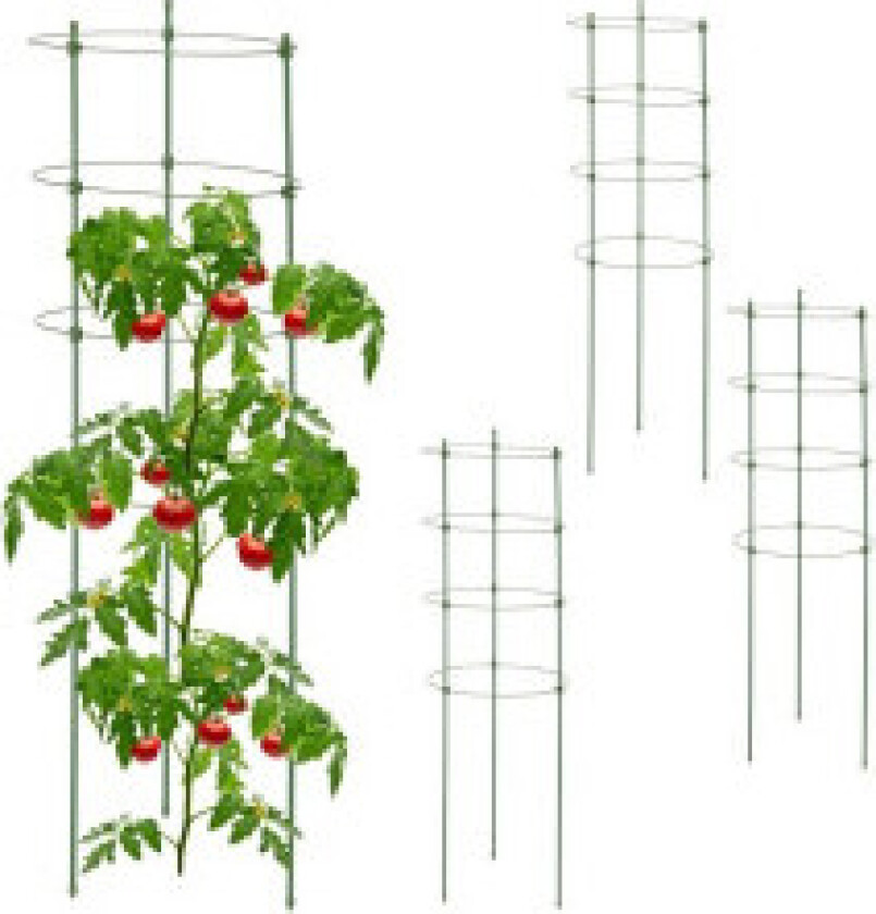 Trellis sett på 4 91 cm