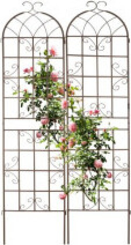Trellis 220 cm sett med 2 brune