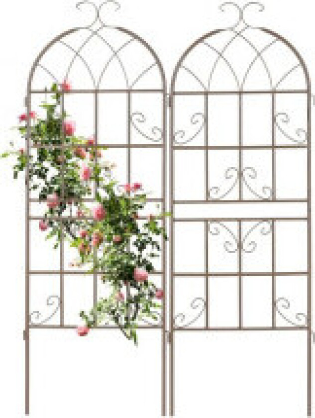 Trellis 150 cm sett med 2 brune